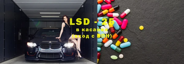 дмт Богородицк