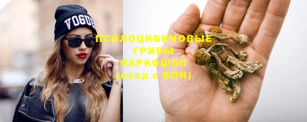 дмт Богородицк