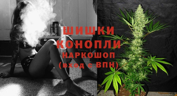 дмт Богородицк