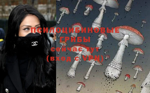 дмт Богородицк