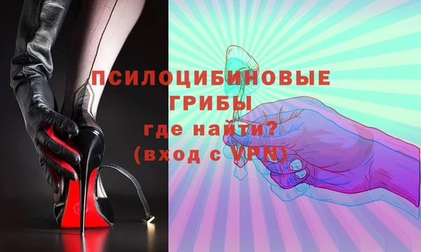 дмт Богородицк
